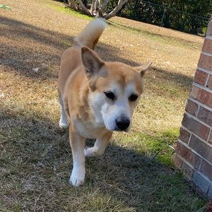 Meet your Posher, Chloé